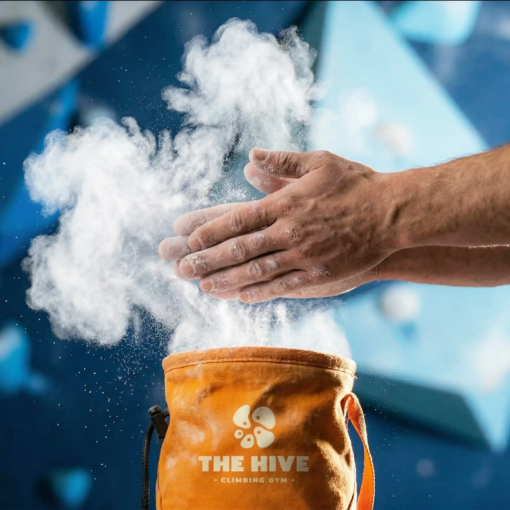 The Hive brief image 3